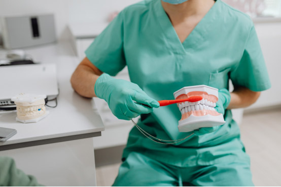 a dentist demonstrating how to brush