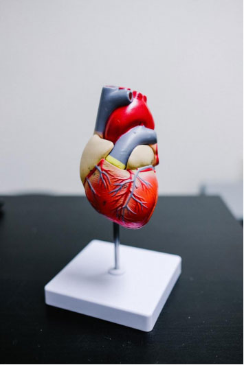heart disease blood vessels