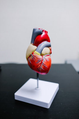 heart-disease